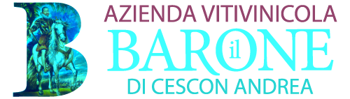 Azienda Vitivinicola IL BARONE