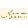 KELLEREI ANDRIAN SOC.AGR.COOP - Cantina Terlano