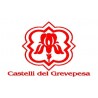 CASTELLI DEL GREVEPESA S.C.A.